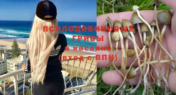 таблы Мегион