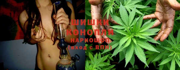 гидропоника Михайловка