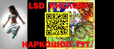 гашик Кандалакша