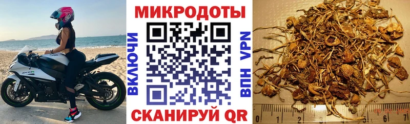 это официальный сайт Тверь гидра зеркало Псилоцибиновые грибы Cubensis где найти наркотики