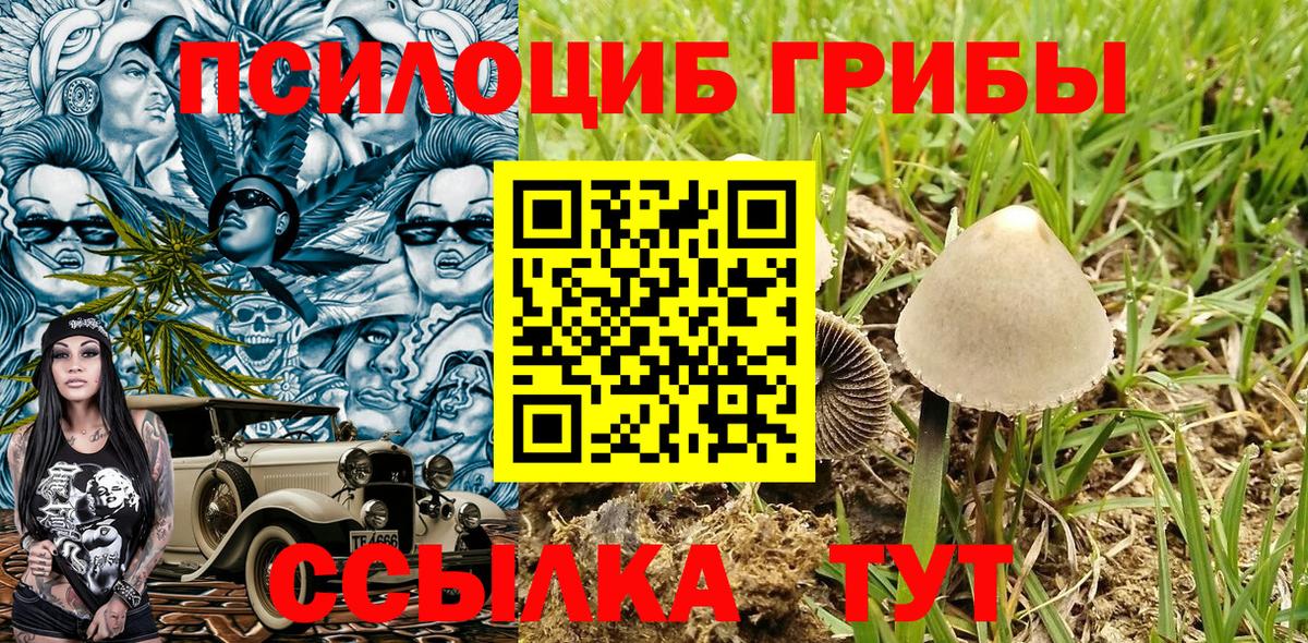 Тверь  Псилоцибиновые грибы Cubensis  Вход с VPN  Галлюциногенные грибы Magic Shrooms 
